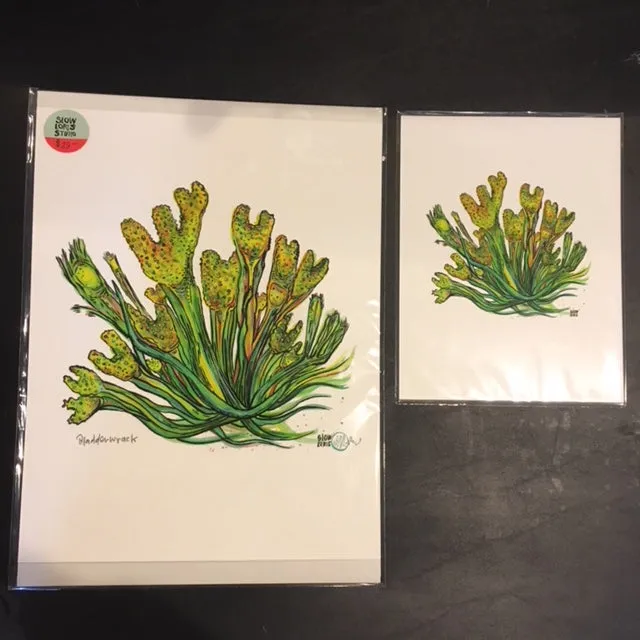 Bladderwrack Art Print (2 sizes)