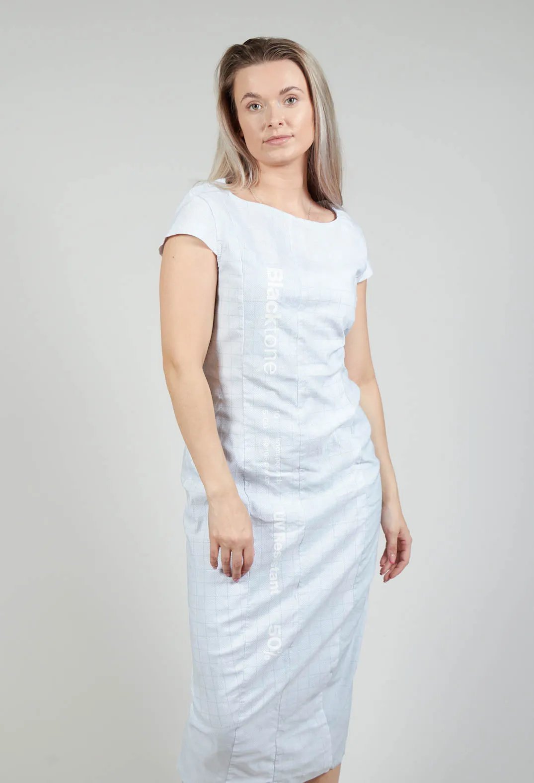 Capped Sleeve Slim Fit Dress in Placed Grey Print