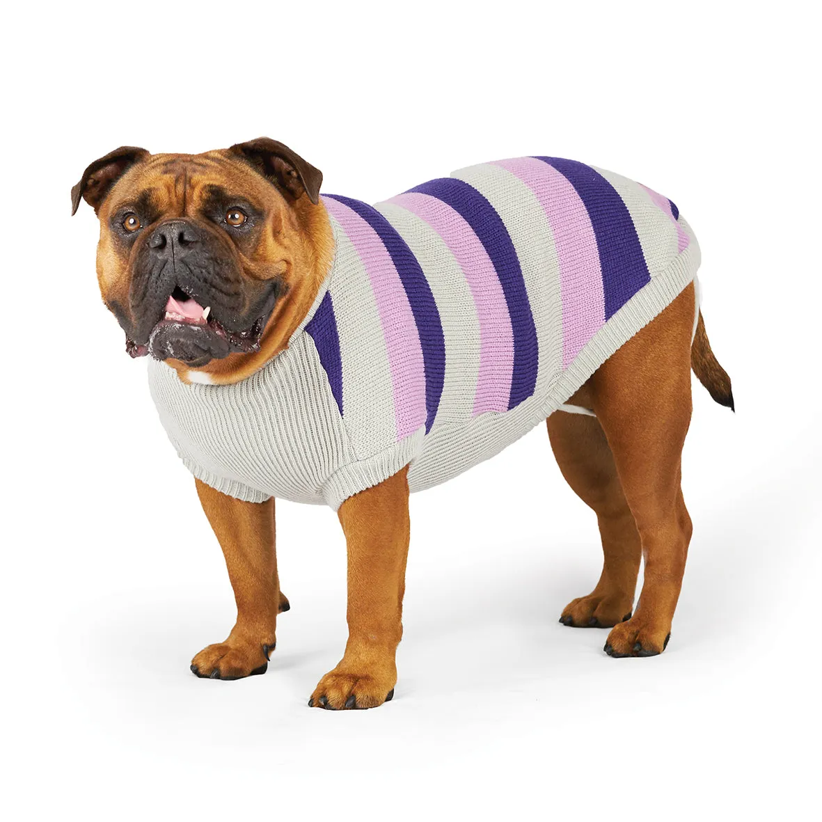 Kazoo Apparel Bumble Dog Jumper Lavender Large ***