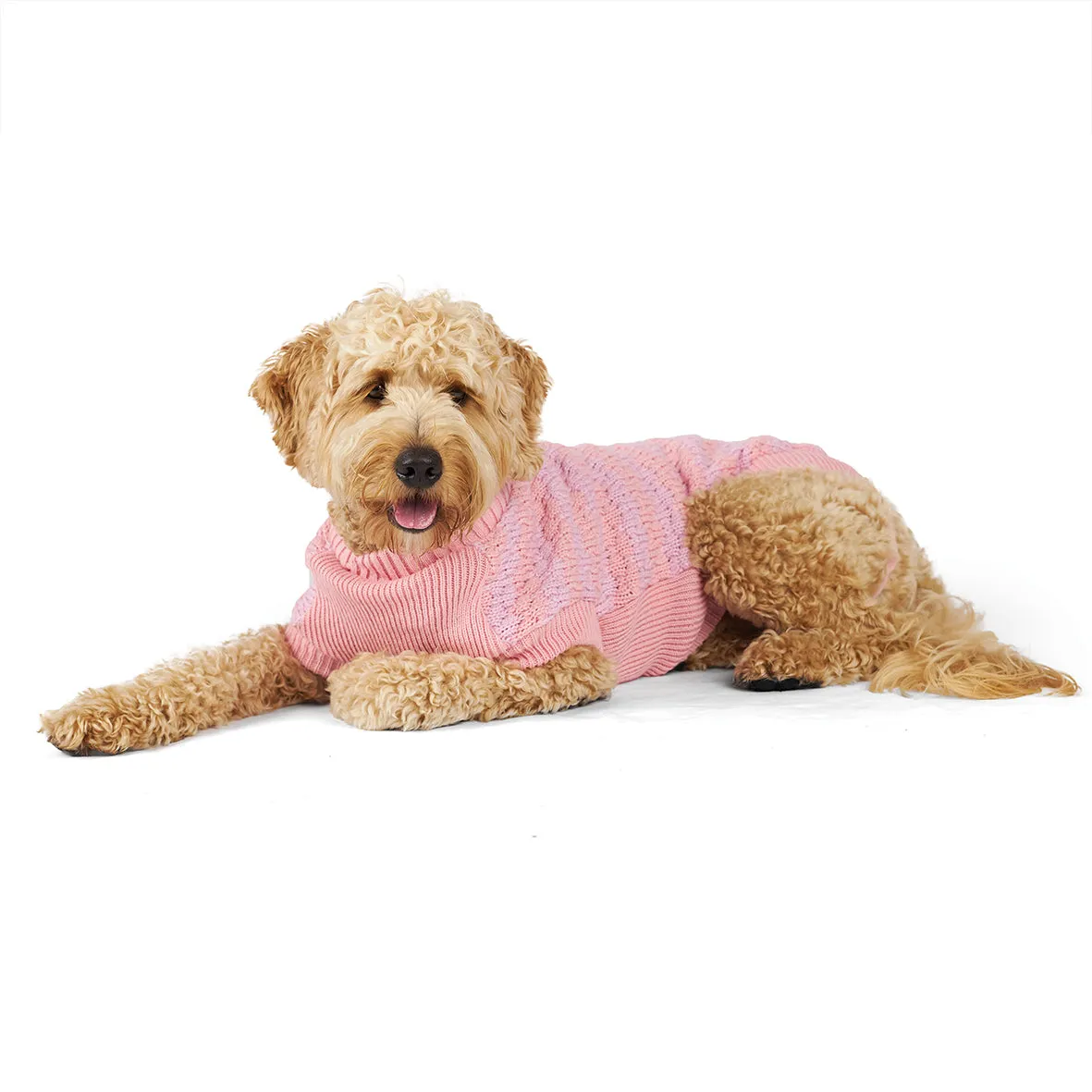 Kazoo Apparel Posy Dog Jumper Large ***