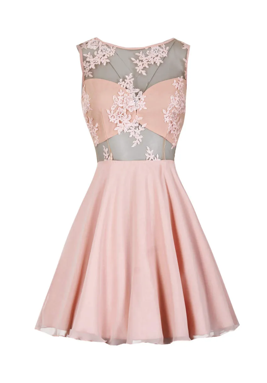 Nude Embroidered Mesh Skater Dress