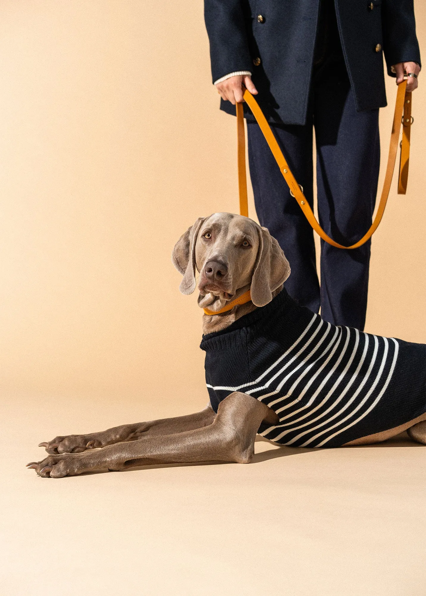 The Toutoupull SAINT JAMES - pup jumper (NAVY/ECUME)