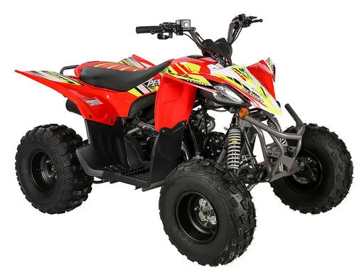 Vitacci Pentora 125R Race Style Youth ATV children ages 16-Year-old and Up, Automatic, Front a rear brakes, Upgraded suspension